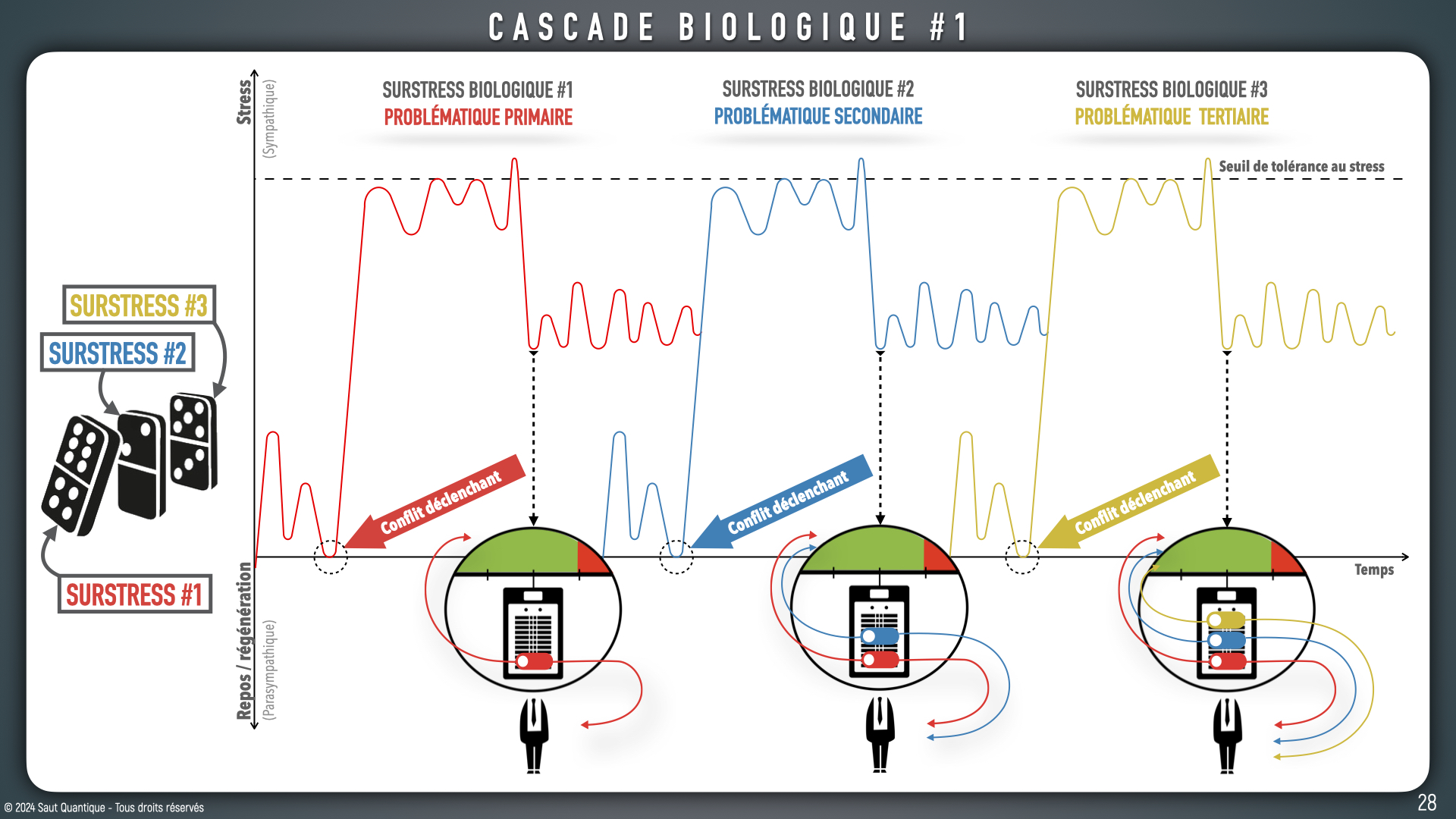 Keynote Consultation de base V4.029