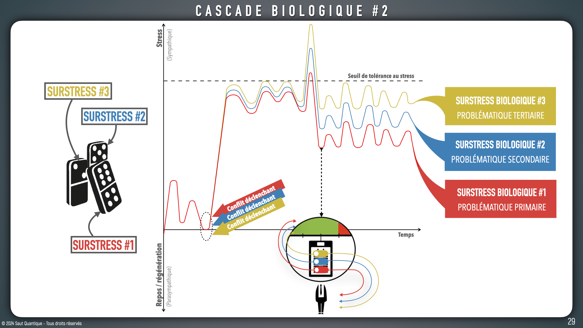 Keynote Consultation de base V4.030